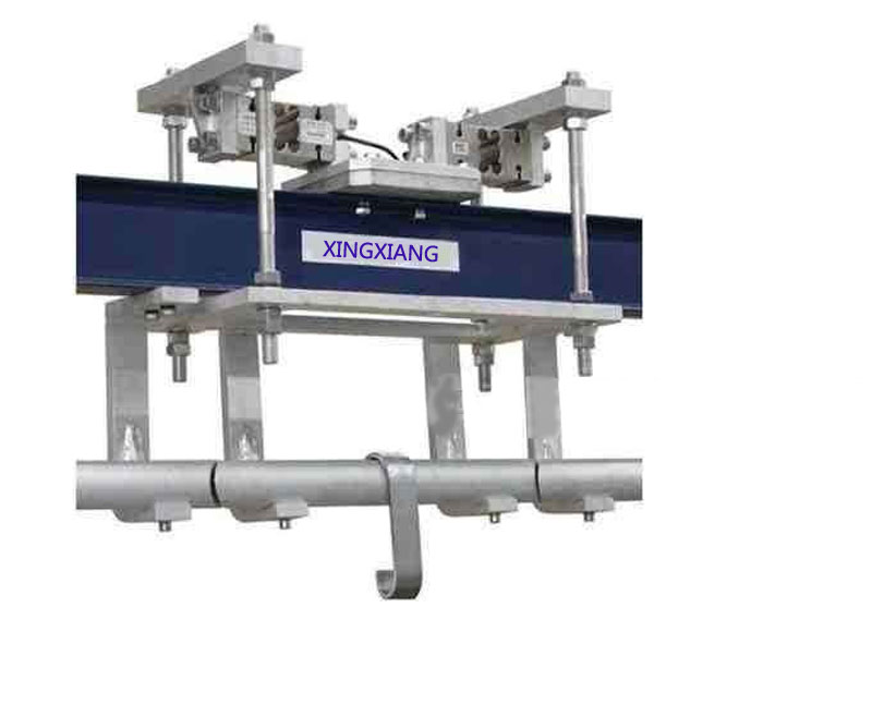 Single-track slaughtering scale